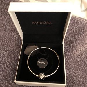 Pandora Silver Bracelet